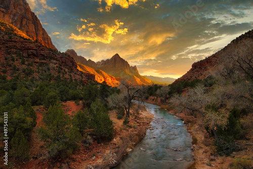 Beautiful nature of the Zion National Park