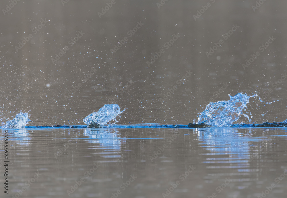 Fototapeta premium Waves on the surface of the water from a collision. Drop of water drop to the surface.