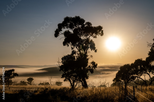 Scenery of the sunrise over a farm with fog on the mountains in Cooma, NSW, Australia photo