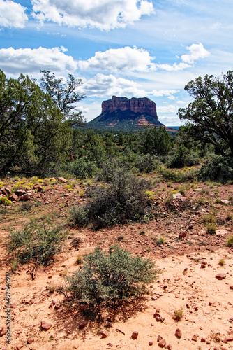 low angle shot of Boscia on rocky land with trees against a reddish rocky cliff and blue sky photo