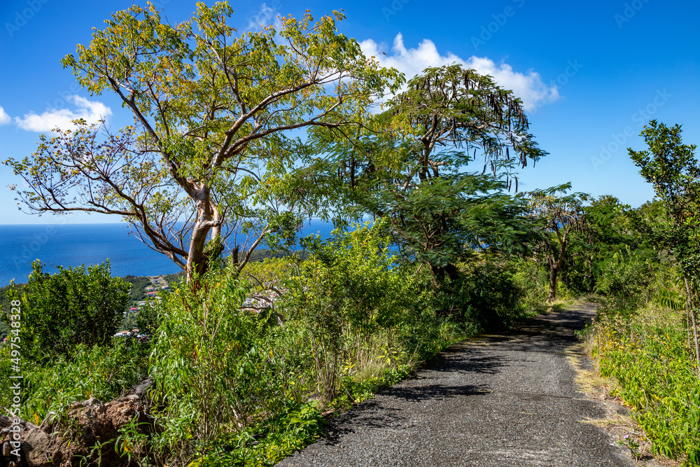Hiking trail to Petites Anses, Terre-de-Bas, Iles des Saintes, Les Saintes, Guadeloupe, Lesser Antilles, Caribbean.