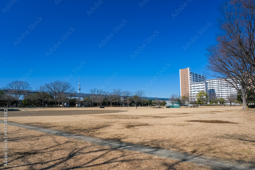 東京都葛飾区 新小岩公園