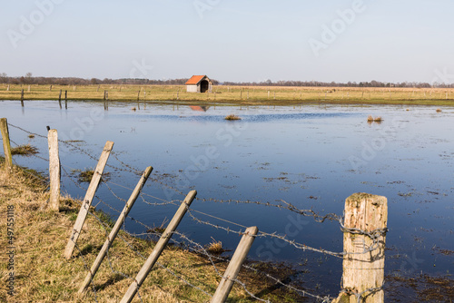 Scenic view of Recker Moor moorland with a fence in the foreground in Recke, Germany photo