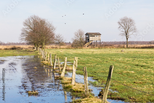 Scenic view of Recker Moor moorland in Recke, Germany photo