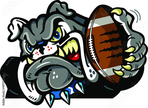 mean bulldog mascot holding football in paw for school, college or league