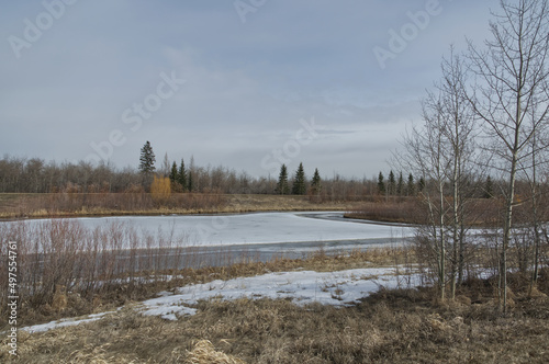 Pylypow Wetlands in the Early Spring