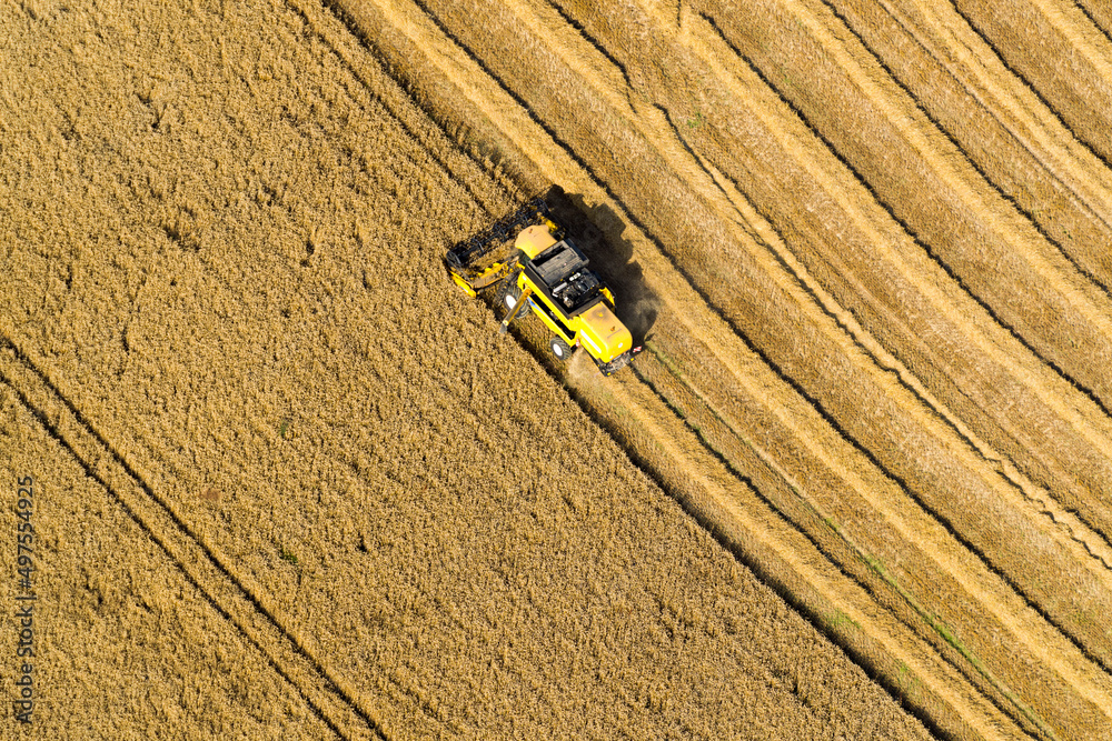 moisson de blé avec une moissonneuse