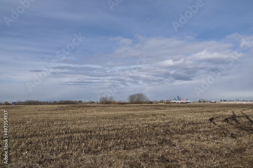A Vast Wheat Field with Clouds Rolling Above