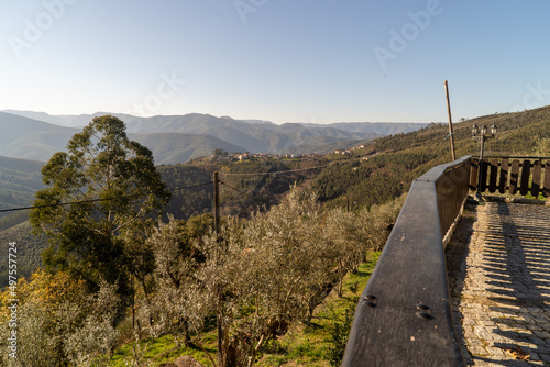 Beautiful mountain landscape with dense forest under blue bright sky near the viewpoint photo