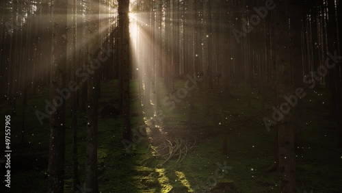 Flicker fireflies in magic sunny forest.