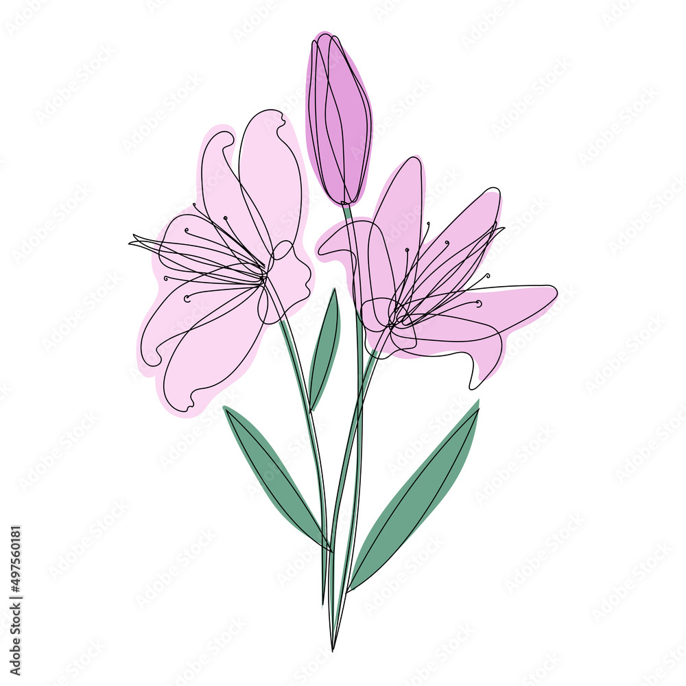 Three pink lilies on a white background. Bouquet of flowers for decor and design Three pink lilies on a white background. Bouquet of flowers for decor and design