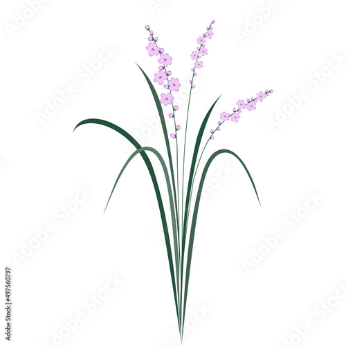 Blooming tropical grass bush. Greenery with pink flowers. design element