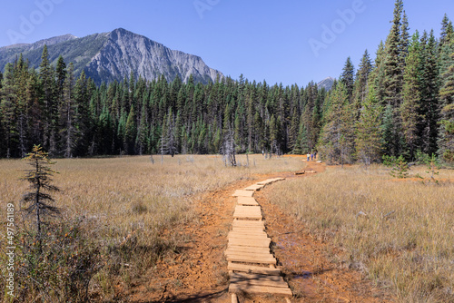 Beautiful nature of the Kootaney national park, Alberta, Canada photo