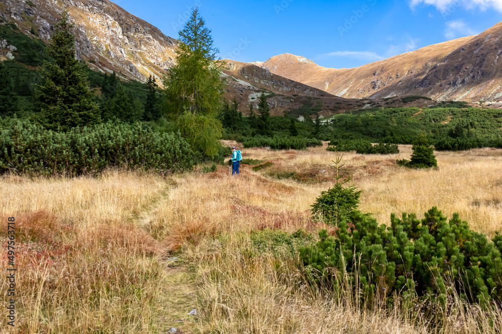 Obraz premium Woman with backpack on hiking trail leading to Seckauer Zinken in the Lower Tauern mountain range, Styria, Austria, Europe. Sunny golden autumn day in Seckau Alps. Panorama on dry, bare grass terrain