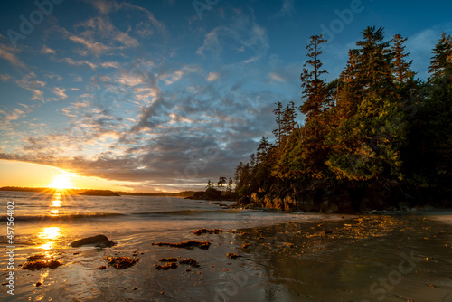 Fotografia Beautiful summer sunset at Halfmoon Bay in Vancouver Island, BC Canada with tree