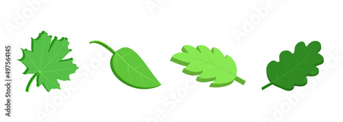 Green leaves 3d. Tree leaf isometric set. Vector clipart isolated on white background.