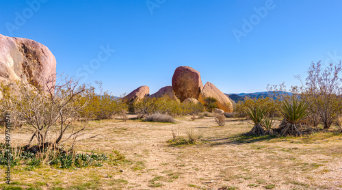 A Secluded Spot in The Beautiful Countryside of Joshua Tree National Park in California