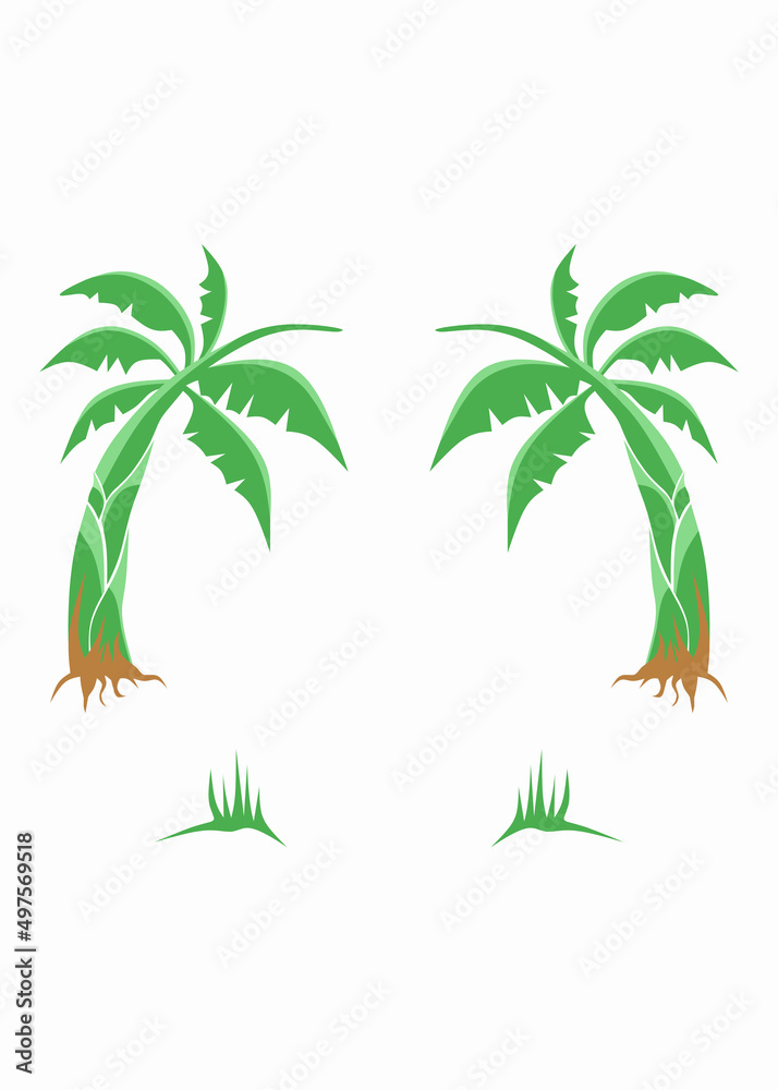 Vector of two banana trees