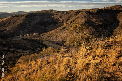 Εκτύπωση καμβά Davis Mountains State Park;  Texas