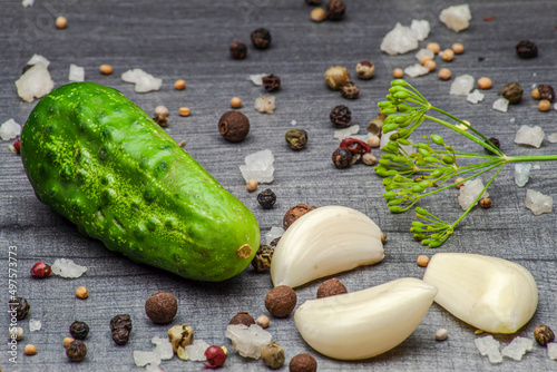 Green field cucumber lying on a gray table next to cloves of garlic, dill, colored pepper, bay leaf, allspice and coarse salt.