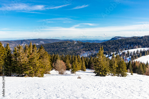 Entdeckungstour auf den Feldberg im Schwarzwald - Baden-Württemberg - Deutschland