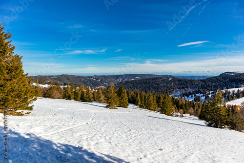 Entdeckungstour auf den Feldberg im Schwarzwald - Baden-Württemberg - Deutschland photo