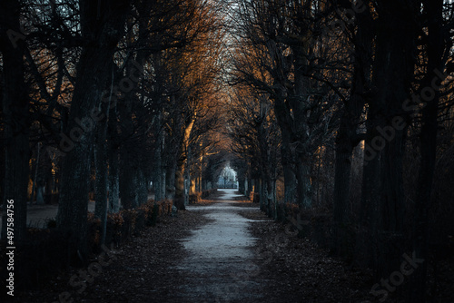 Schönbrunn Palace Path