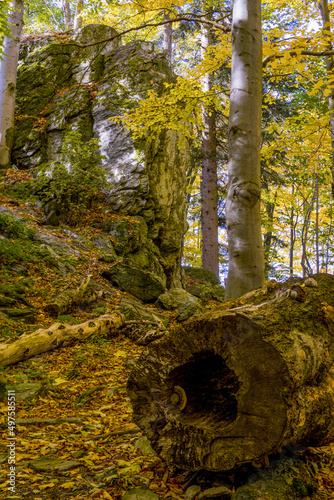 Beautiful shot in the Rabstejn in Czech Republic photo