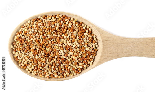 Millet seed pile in wooden spoon isolated on white, top view