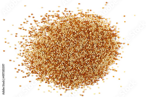Millet pile isolated on white, top view