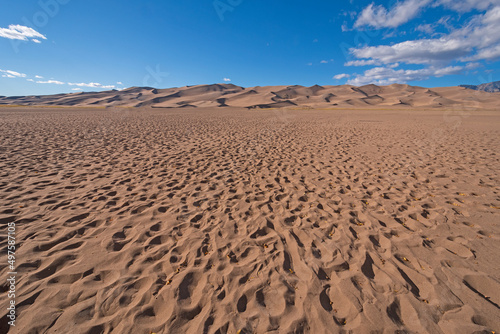 Pockmarked Sand With Fall Leaves