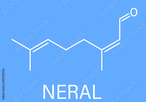 Neral lemon fragrance molecule. Citral. Skeletal formula. photo