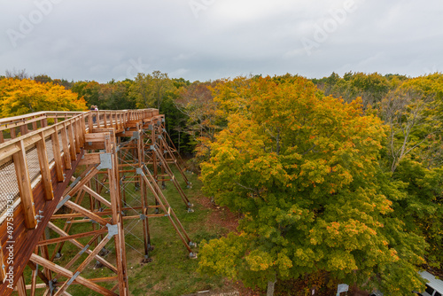 Bridge in the woods in Door County, Wisconsin, the USA in the autumn photo