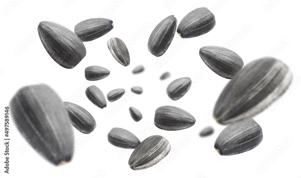 Flying sunflower black seeds, isolated on white background