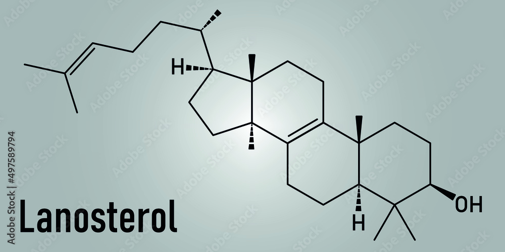 Lanosterol molecule. Investigated for treatment of cataract. Skeletal formula.
