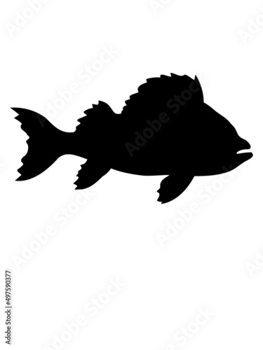 Silhouette Meeres Fisch 