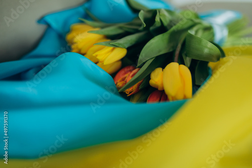 tulips on the Ukrainian flag. selective focus. copy space