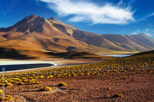 Scenic view on beautiful landscape lonely dry arid valley with grass tufts in andes mountains , altiplanic miscanti brackish water lakes - Atacama desert, Chile photo