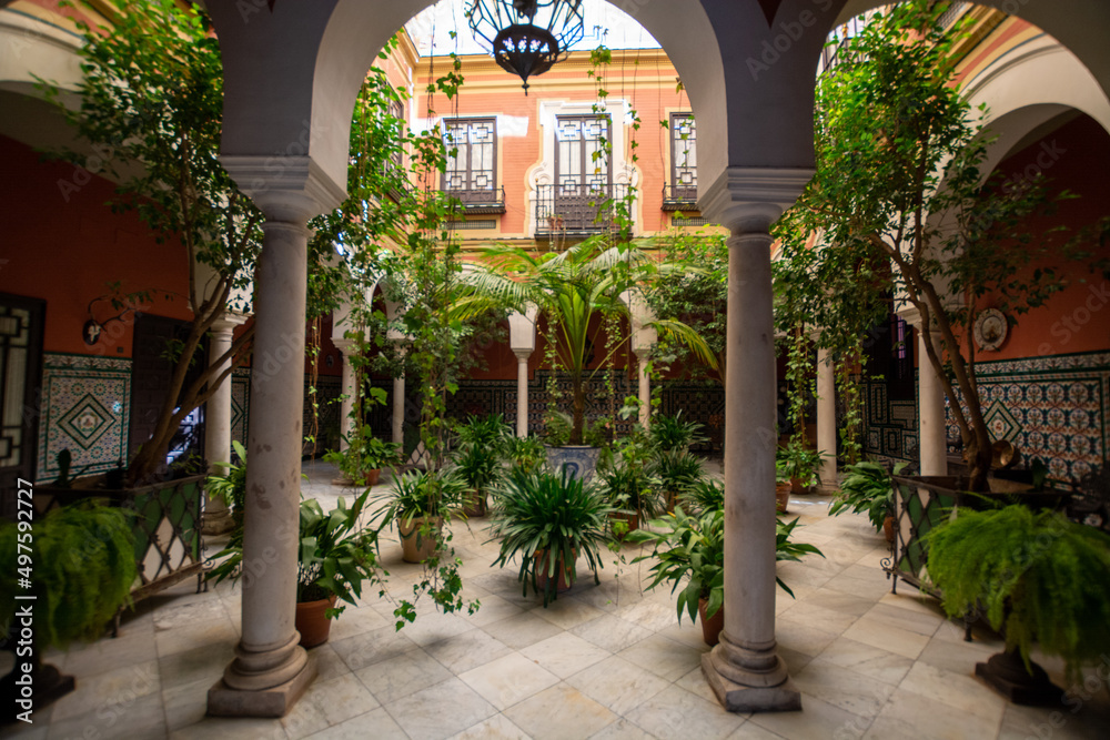 Fototapeta premium Andalusian style, patio with green plants and arches, old town Seville, Spain