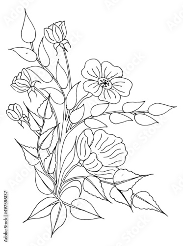Hand-drawn  flowers and leaves are isolated on white. Tattoo design  coloring page  wedding decoration  monochrome vector line art a lovely floral creation in the style of the past