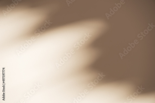 Abstract beige background with shadow of natural tree branch leaves on concrete wall. Top view of texture art for background, wallpaper, nature shadow pattern on wall. Copy space for design