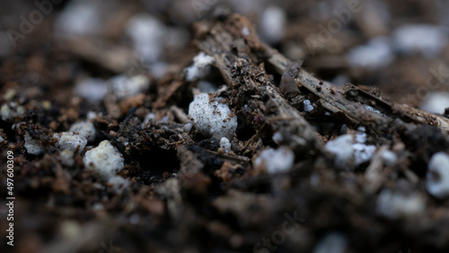 Sustrato para plantas