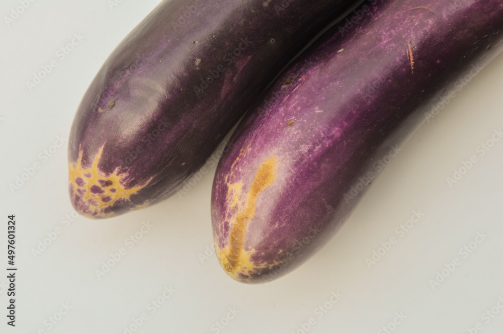 two purple eggplants that have started to wilt a bit and have brown spots on their skins because they have been picked from the tree for several days two purple eggplants that have started to wilt a bit and have brown spots on their skins because they have been picked from the tree for several days