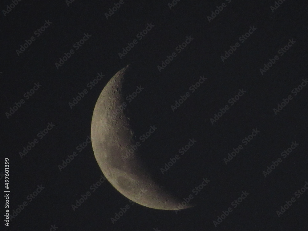 moon moon