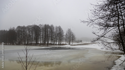 Fog over the lake in early spring. Spring landscape on a cloudy day. Thaw in the park by the lake. © Sergei