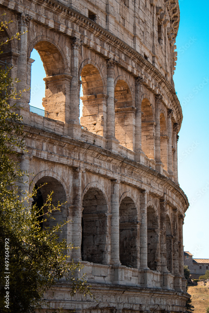 Fototapeta premium colosseum