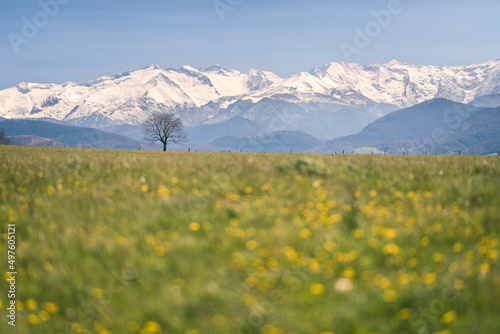 landscape of southwestern France with the Pyrenees mountains in the background 