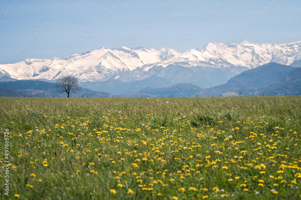 landscape of southwestern France with the Pyrenees mountains in the background
