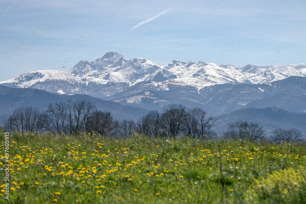 landscape of southwestern France with the Pyrenees mountains in the background
