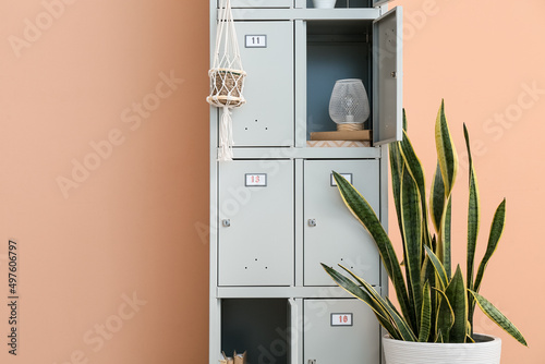 Locker and houseplant near ...